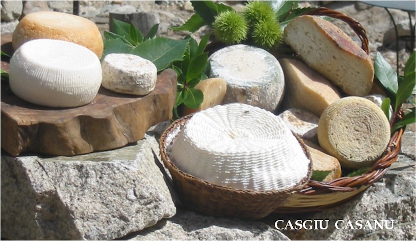 Les fromages de l'association Casgiu Casanu