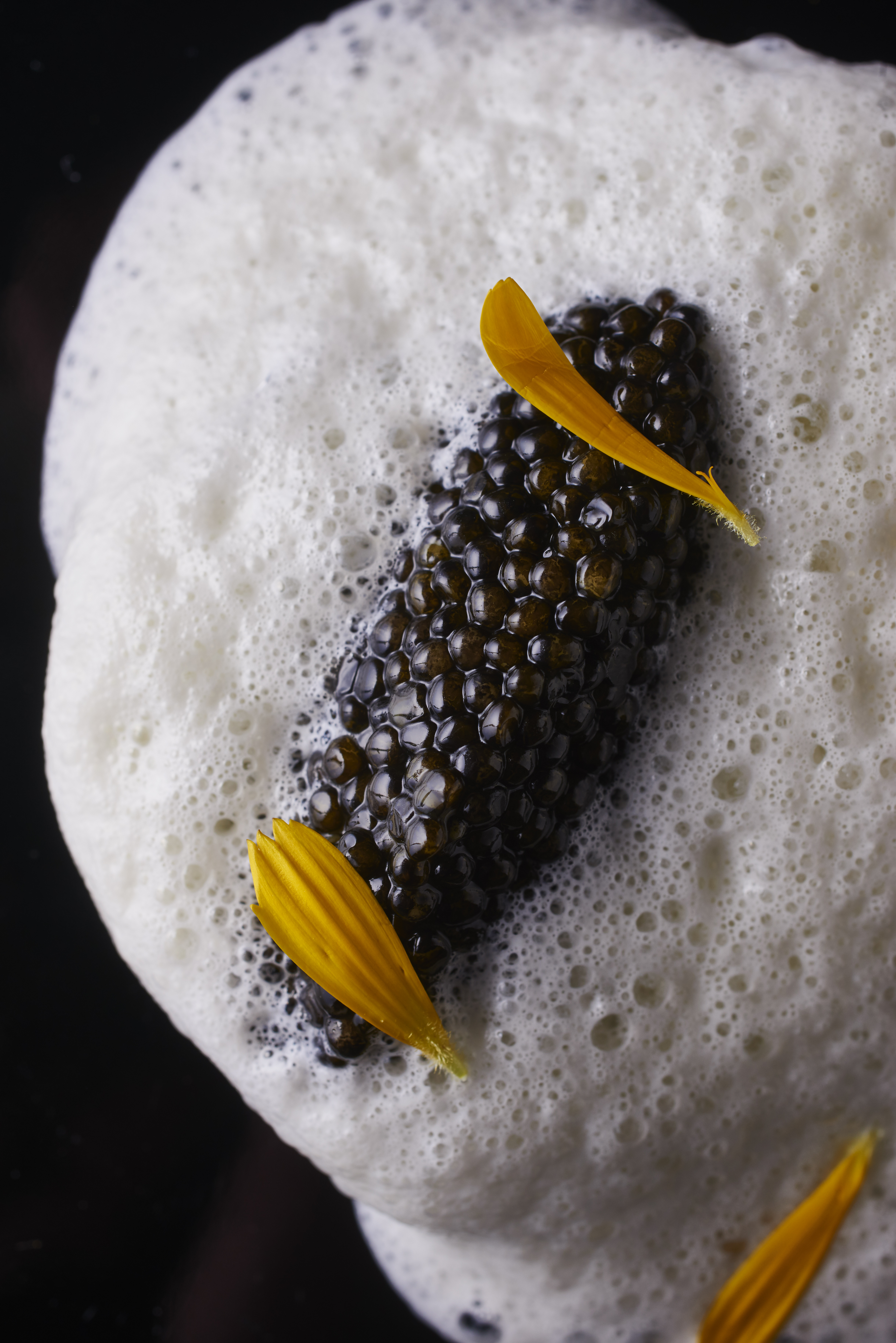 Le bar au caviar