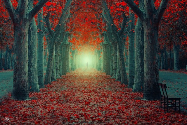 © Ildiko Neer. Tous les droits réservés.