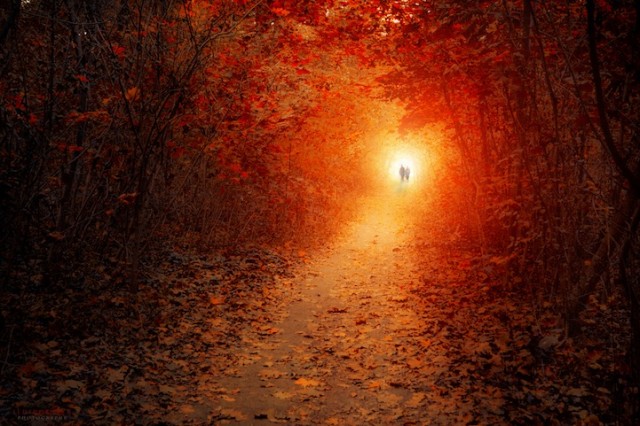 © Ildiko Neer. Tous les droits réservés.