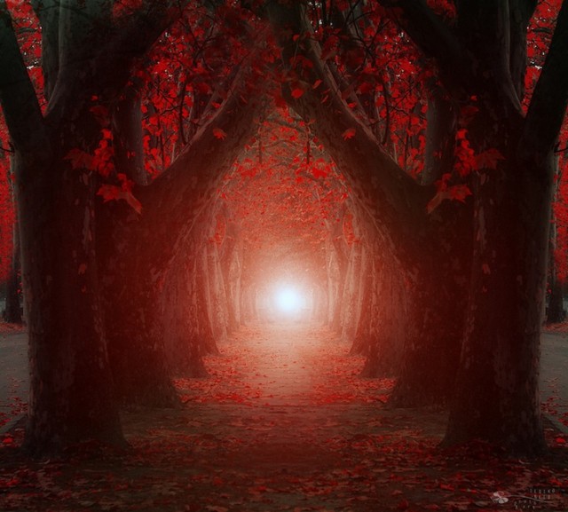 © Ildiko Neer. Tous les droits réservés.