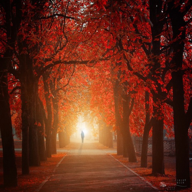 © Ildiko Neer. Tous les droits réservés.