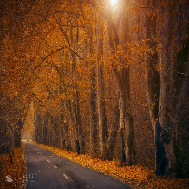 © Ildiko Neer. Tous les droits réservés.