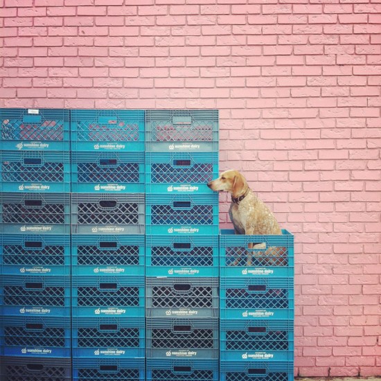 © Theron Humphrey. Tous les droits réservés.