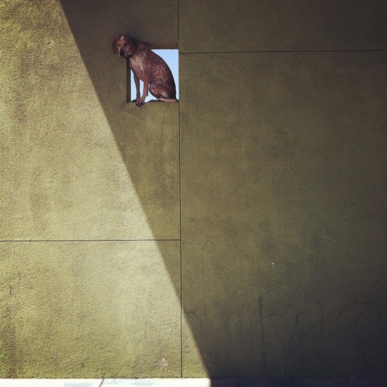 © Theron Humphrey. Tous les droits réservés.