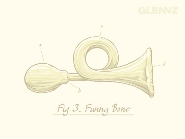 Glennz. Tous les droits réservés.
