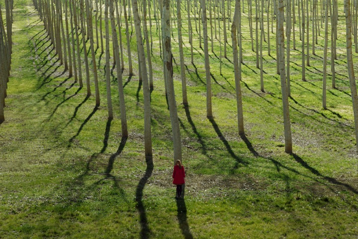 © Maia Flore. Tous les droits réservés.