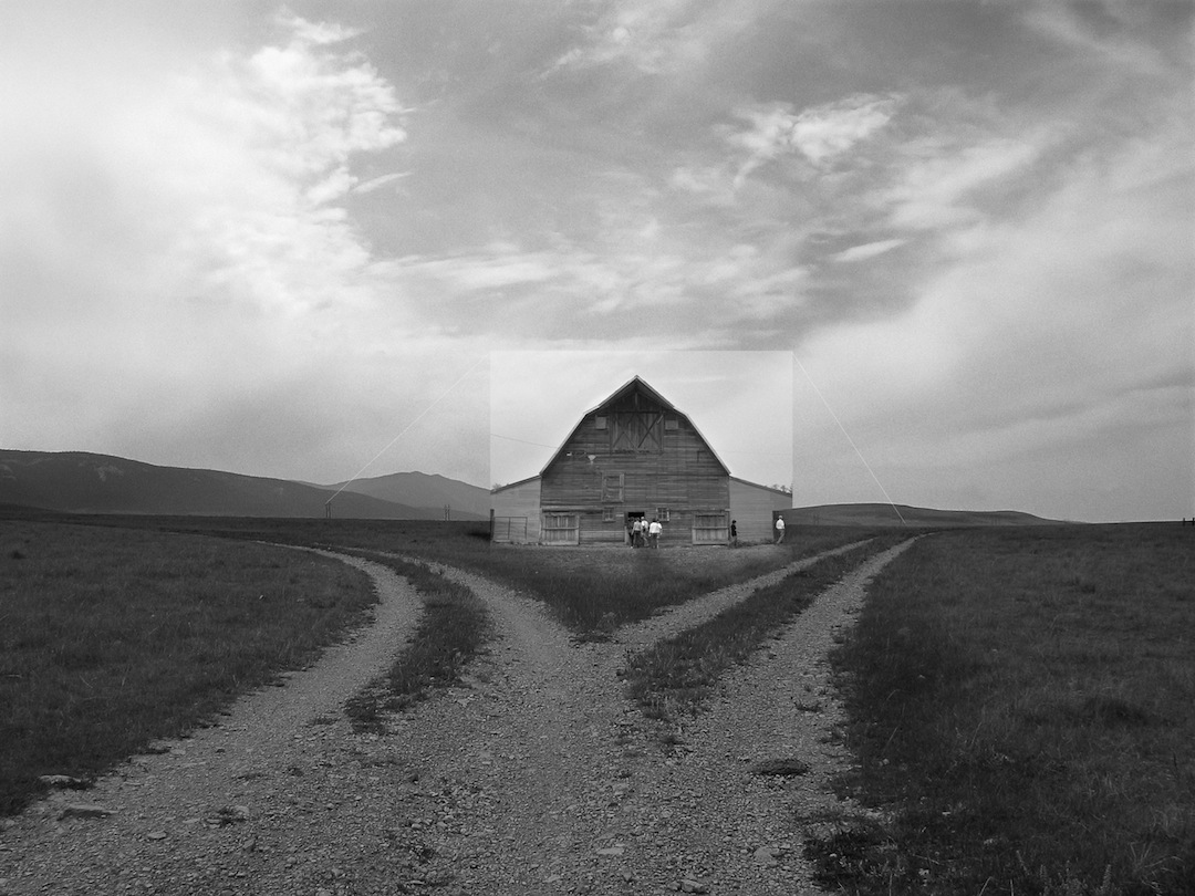 © Jackson Patterson 