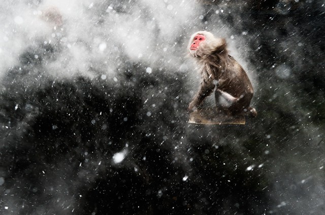 snow-640x425