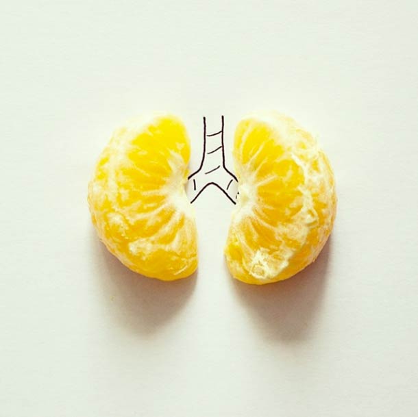 © Javier Pérez. Tous les droits réservés.