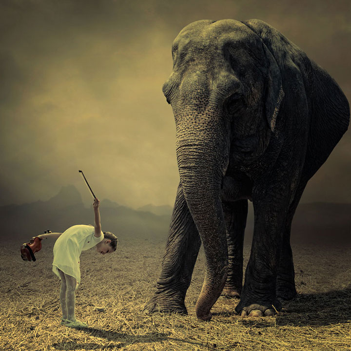 © Caras Ionut. Tous les droits réservés.