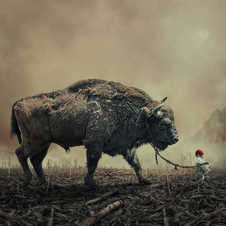 © Caras Ionut. Tous les droits réservés.