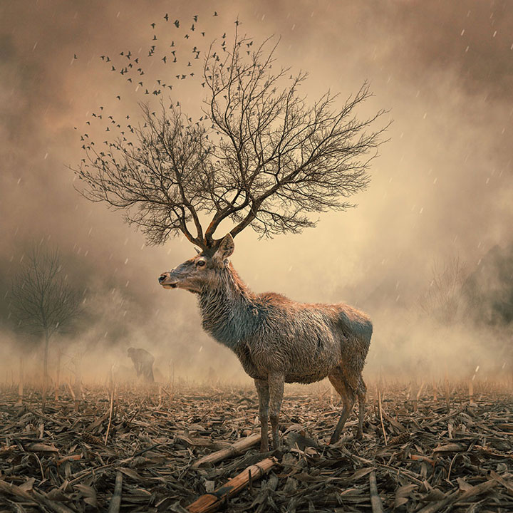 © Caras Ionut. Tous les droits réservés.