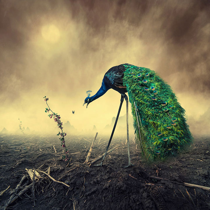 © Caras Ionut. Tous les droits réservés.