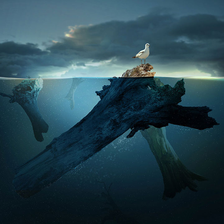 © Caras Ionut. Tous les droits réservés.