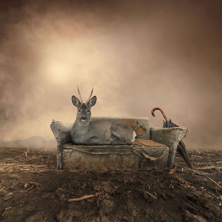 © Caras Ionut. Tous les droits réservés.