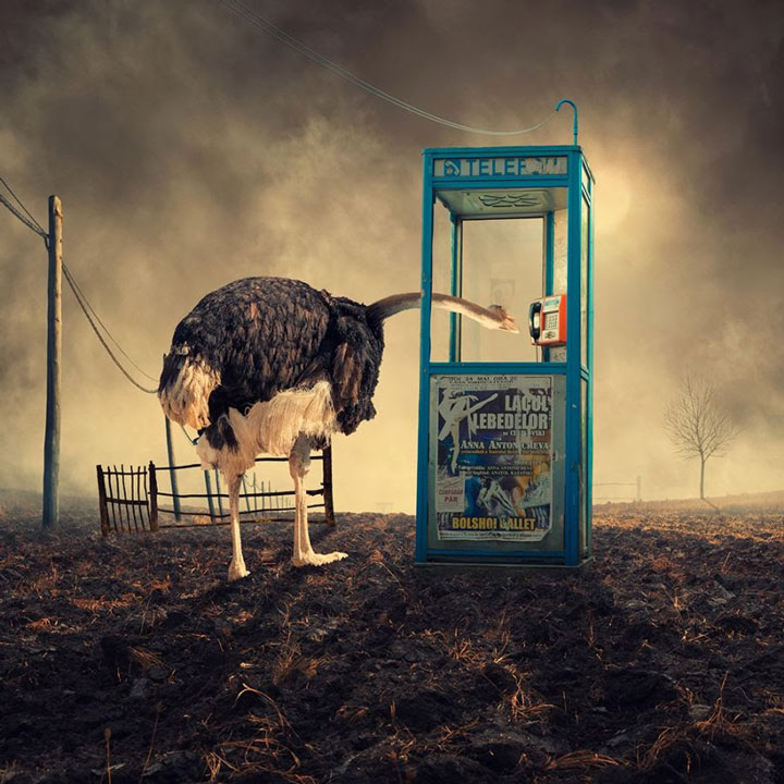 © Caras Ionut. Tous les droits réservés.