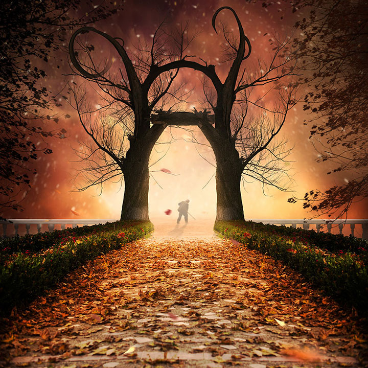© Caras Ionut. Tous les droits réservés.