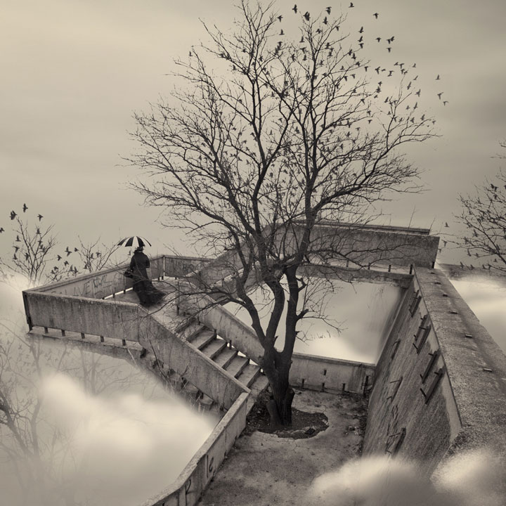 © Caras Ionut. Tous les droits réservés.