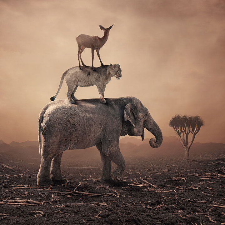 © Caras Ionut. Tous les droits réservés.
