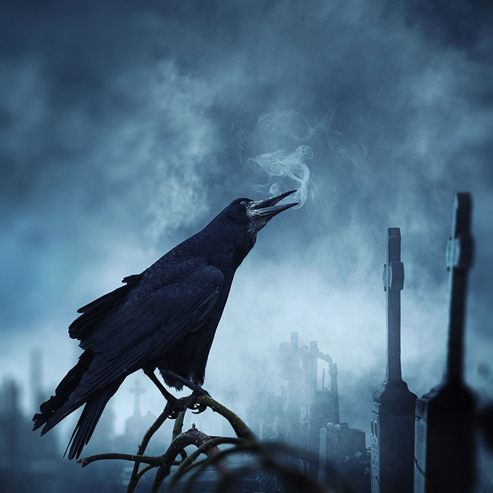 © Caras Ionut. Tous les droits réservés.