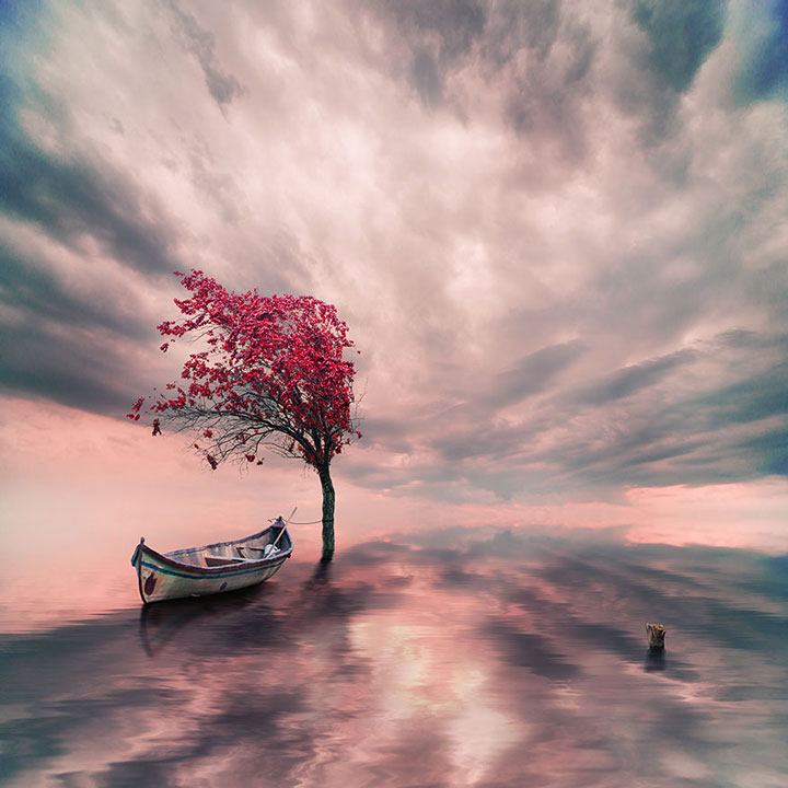 © Caras Ionut. Tous les droits réservés.