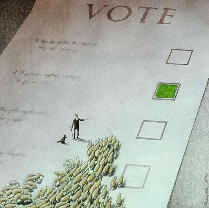 © Pawel Kuczynski .Tous les droits réservés.