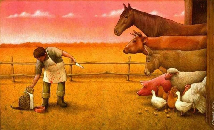 © Pawel Kuczynski .Tous les droits réservés.