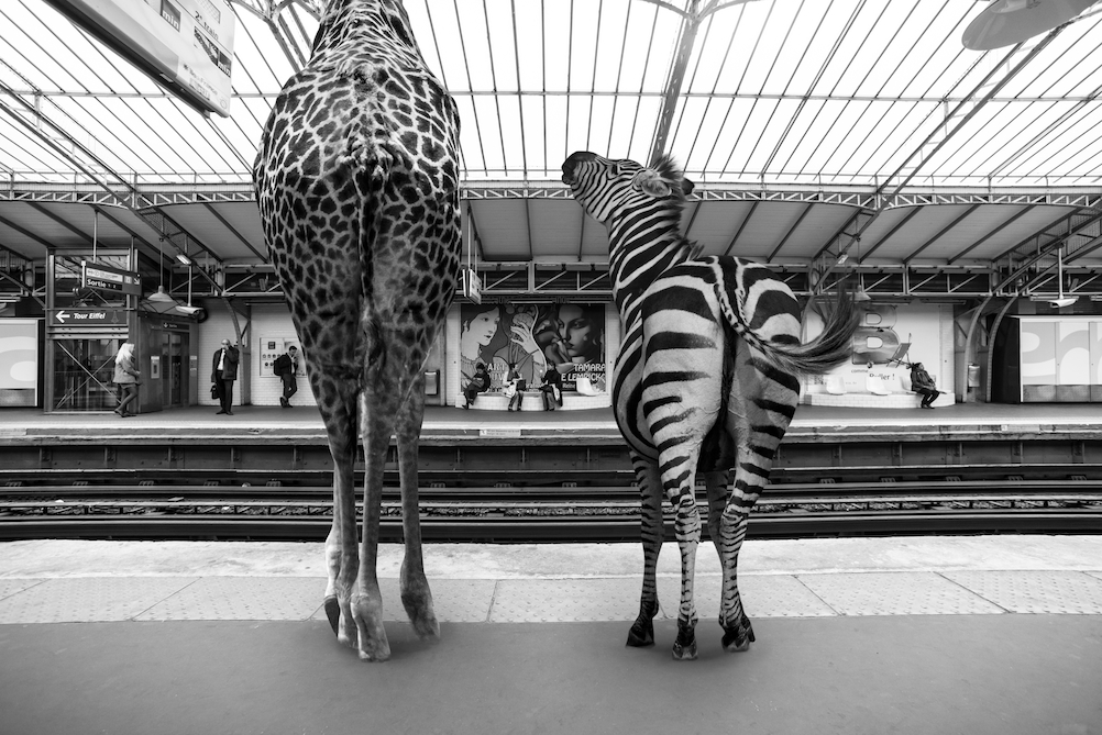 © Clarisse Rebotier. Tous les droits réservés.