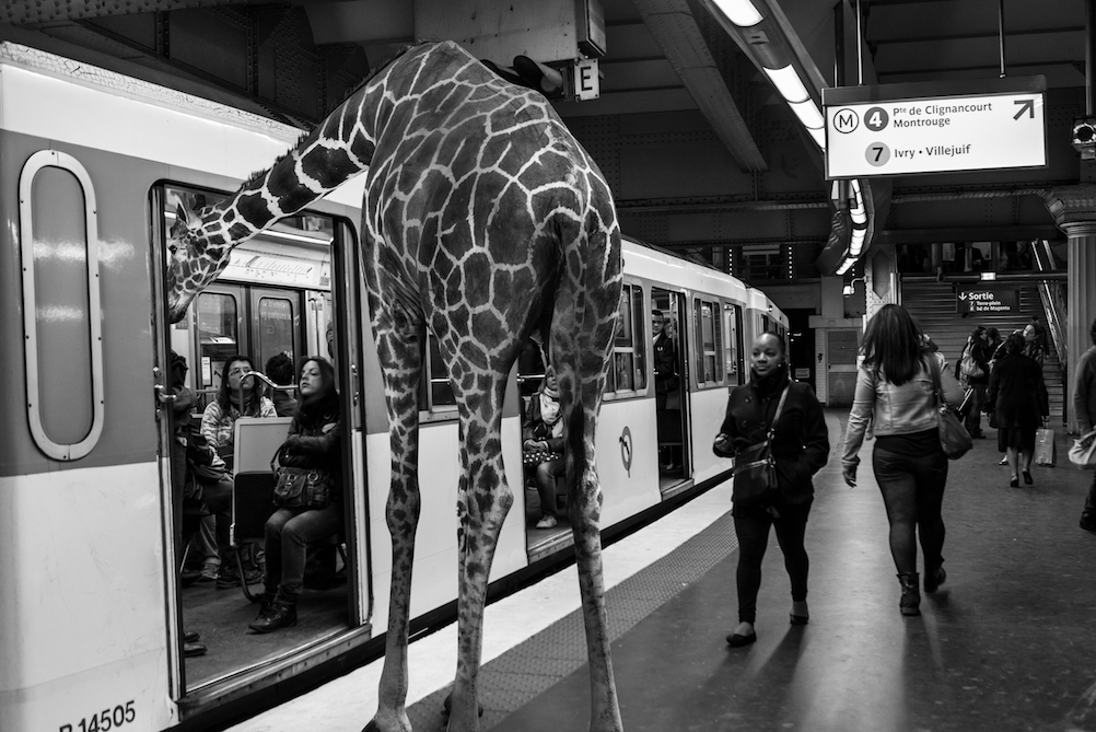 © Clarisse Rebotier. Tous les droits réservés.