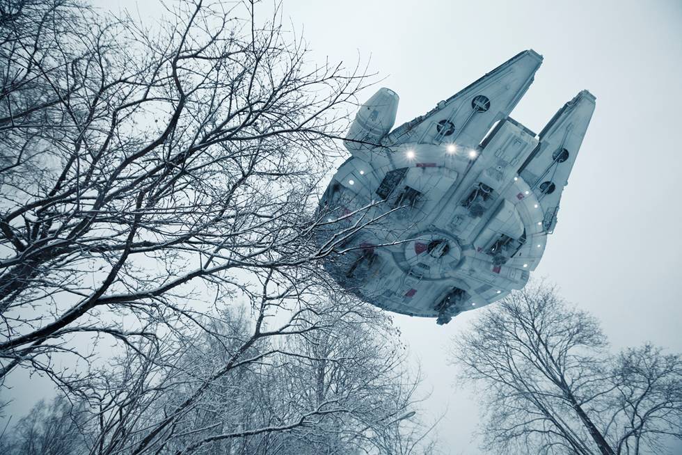 Vesa Lehtimäki « The Treetop Falcon »
