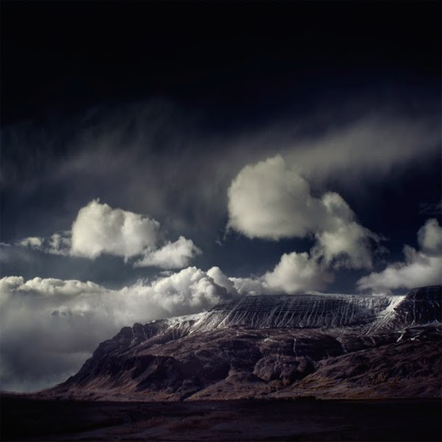 © Andy Lee. Tous les droits réservés.
