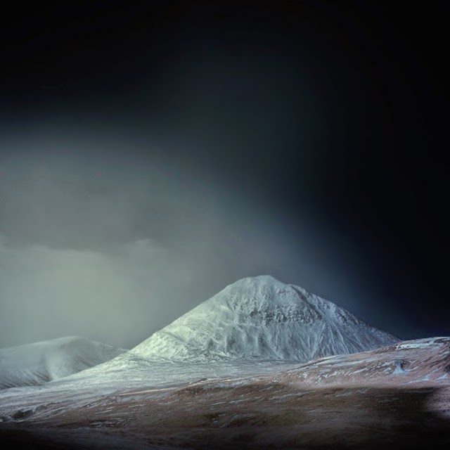© Andy Lee. Tous les droits réservés.