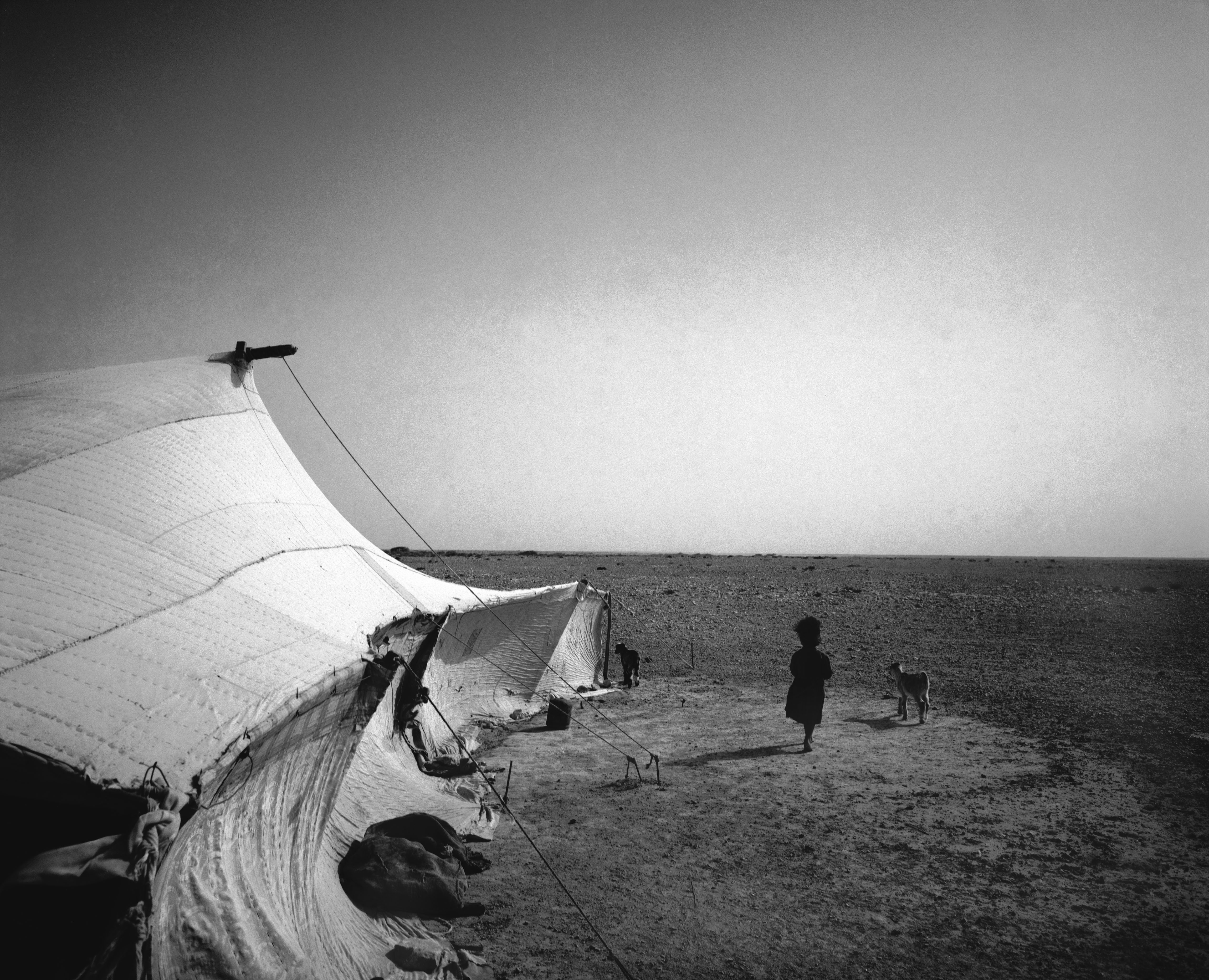 AFRICA. WESTERN SAHARA. Rio de Oro. Zemmour.