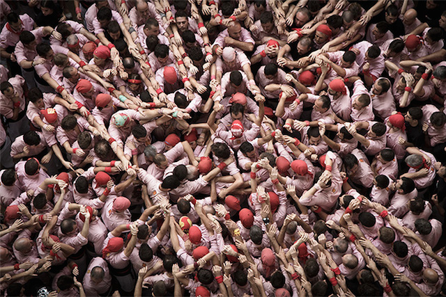 © David Oliete. Tous les droits réservés.