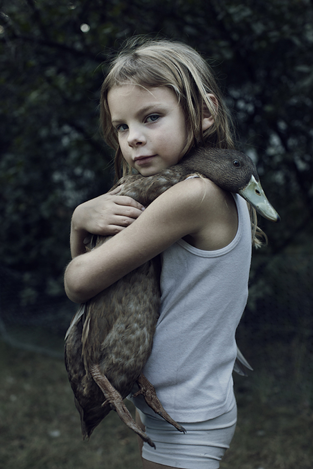 © Shelly Mosman. Tous les droits réservés.
