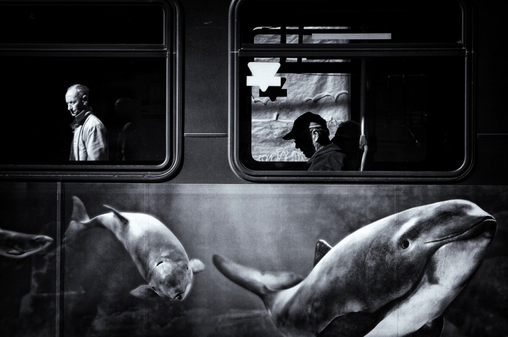 © Jianwei Yang. Tous les droits réservés.
