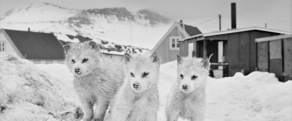 © Ragnar Axelsson. Tous les droits réservés.
