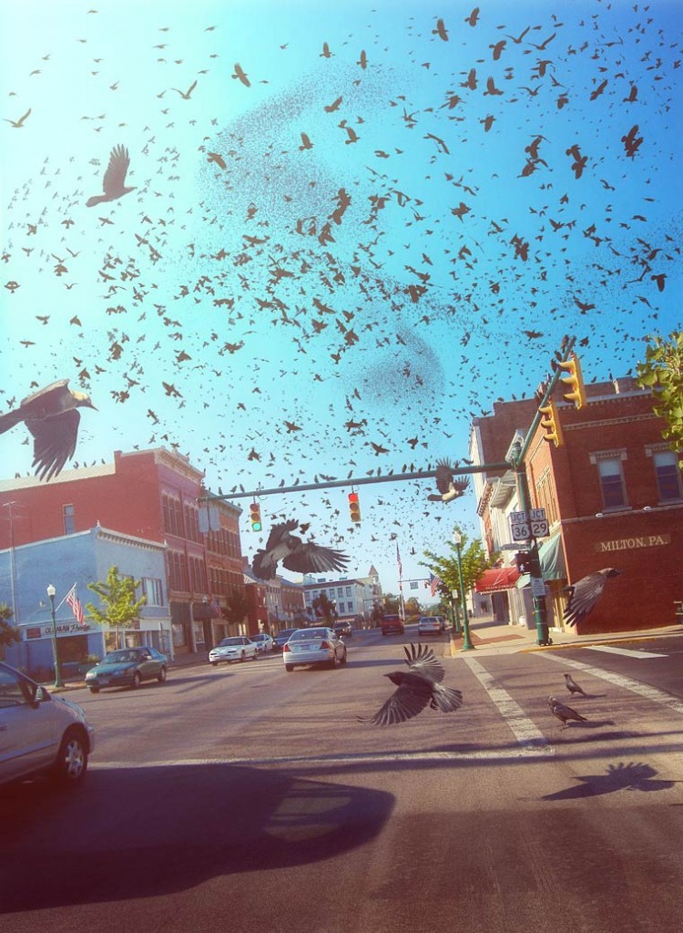 © Evgeny Kazantsev. Tous les droits réservés.