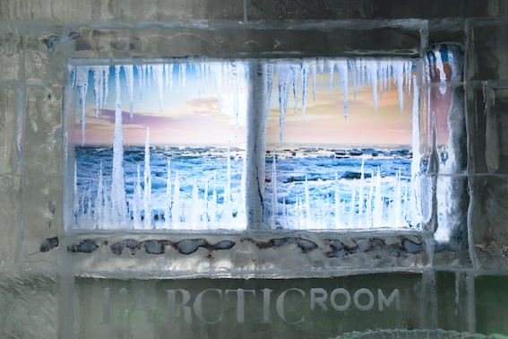L'Arctic Room