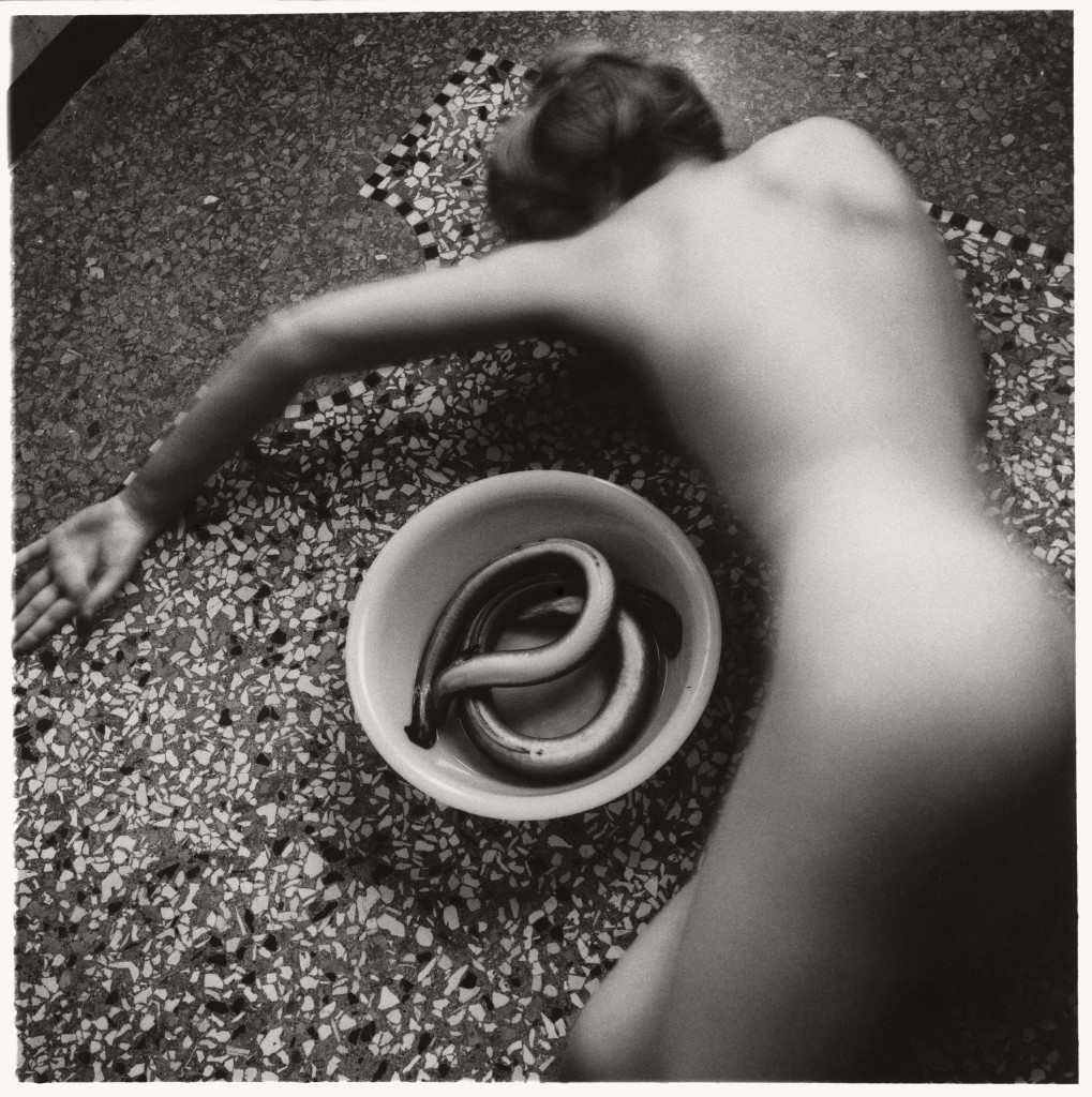 Francesca Woodman, from Eel Series, 1978 © Betty and George Woodman NB: No toning, cropping, enlarging, or overprinting with text allowed.
