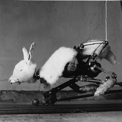 © Gilbert Peyre, Un lapin blanc, 1998-2000